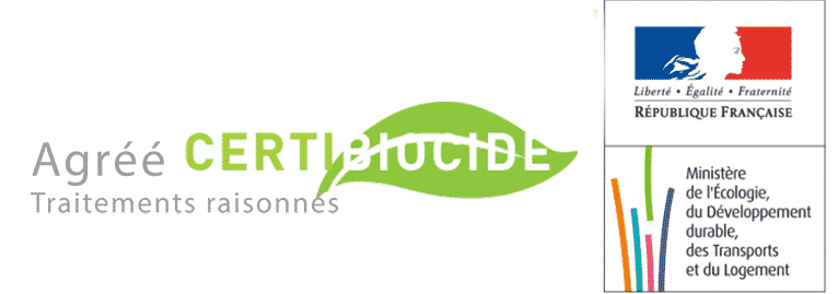 Certication Veritas pour la detection canine de punaises de lit