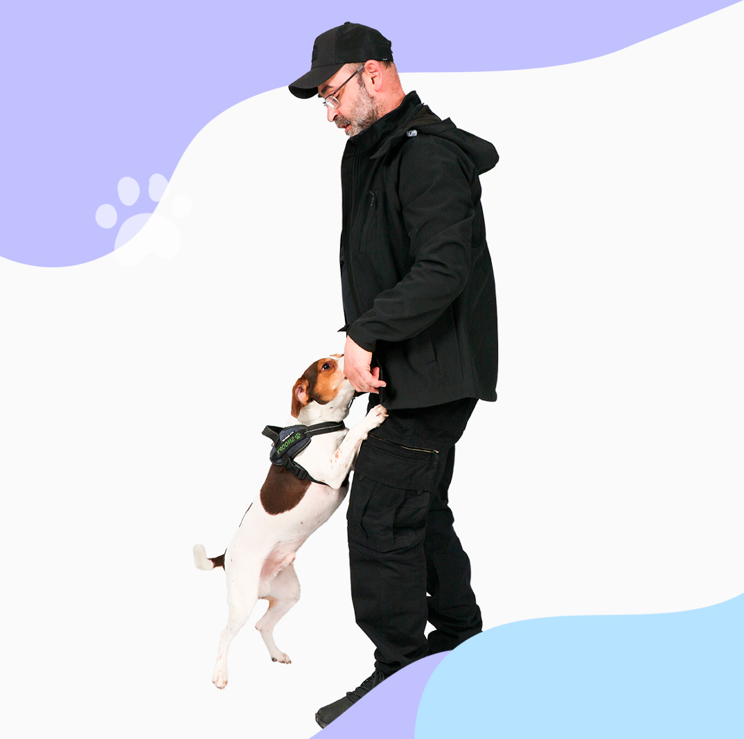 Pierre, fondateur de Cyno-Bugs, et son chien Snoopy lors d'une détection canine de punaises de lit à Paris